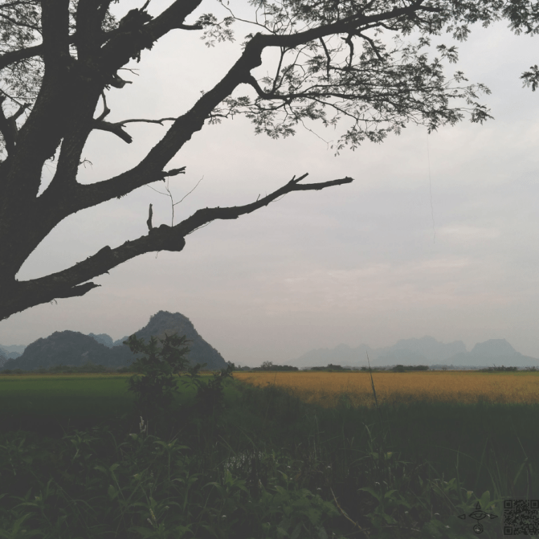 Hazy Fields Myanmar